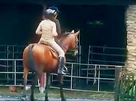 A Morning Ride