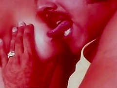 A Plan to Be Rammed, Collection Films No  74, 1979