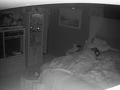 Amateur Wife caught masturbating night vision