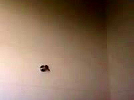 Amateurmex - La amante del Gerente Banco Azteca - Webcam Omegle