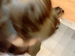 Amazing Porn Scene Hd Greatest Pretty One