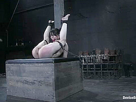 Amie - Kink