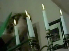 Anal Acrobats