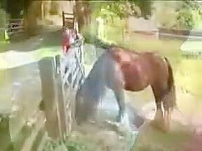 Anya in Young Harlots Riding School