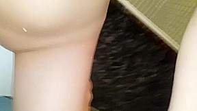 Asian Angel 9550 - SkyAngel