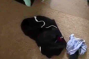 Astonishing Adult Movie Homo Big Dick Greatest Show