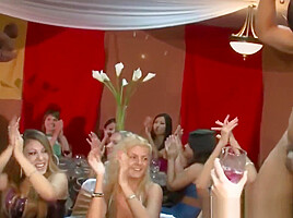 Bachelorette Babe Cocksucking Stripper
