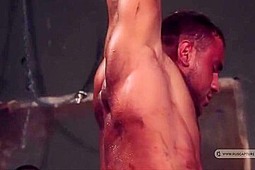 Best Porn Video Homo Bdsm Wild Youve Seen