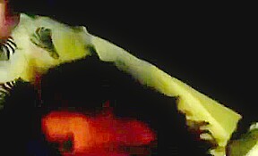 Best porn video Amateur best pretty one