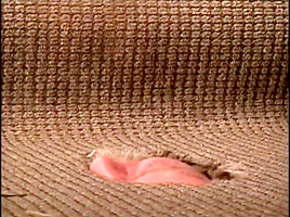 Best sex scene Feet exclusive you've seen