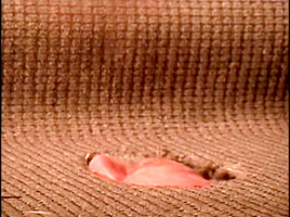 Best sex scene Feet exclusive you've seen