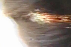 Blowjob in the woods