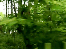 Bound girlnextdoor roughly drilled by ranger