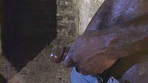 Brutus Bates In The Basement - Brutus Black