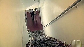 Busy 1