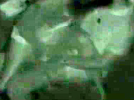 CLIP #25 _ Voyeurismo Public Sex_3