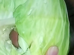 Cabbage With My Horny Big Black Cock And Balls For -1 - Dirty Desire