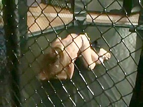Catfight in cage with some breast mauling