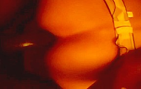 Cd Sexxx