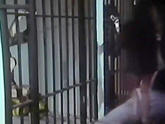 Classic Catfights-Nude Catfight from WIP flick