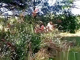 College teens 18+ Facialized In Outdoor Threesome