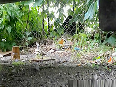 Compilation of teens 18+ caught peeing outdoors