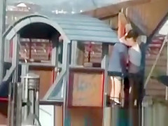 Couples fuck in the park