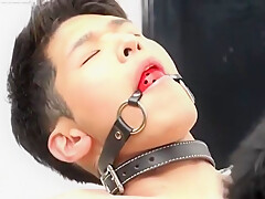 Crazy Xxx Scene Homo Amateur Exclusive Crazy , Check It