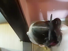 Cute Pet Aurora Found And Taken To A New Home