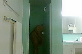Daily shower