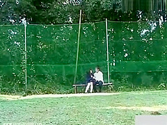 Daylight sex at the bench