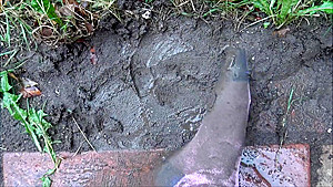 Dirty Socks