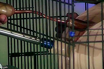 Double Ended Fun For Hardcore Sub Babe As Maledom Owns Her With Robotic Vibrators And Dildos
