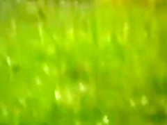 Exotic porn scene exotic
