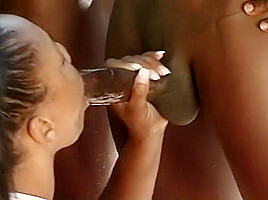 Expirienced Black Models Are Happy Two Suck A Few Black Cocks Near The Pool