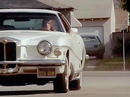 Fast Cars, Fast Woman