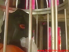 Femdom 177