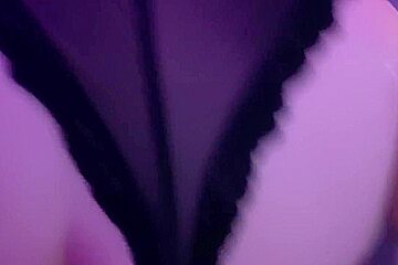Fucked Her Standing In A Body Corset With Garters And Black Nylon Stockings After A Juicy Blowjob