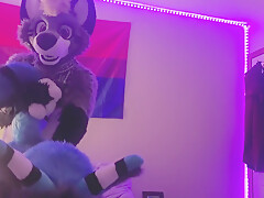 Gamer Furry Gets Sucked Off & Fucks Cute Wolf Girl In Return