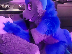 Gamer Furry Gets Sucked Off & Fucks Cute Wolf Girl In Return