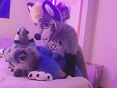 Gamer Furry Gets Sucked Off & Fucks Cute Wolf Girl In Return