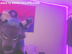 Gamer Furry Gets Sucked Off & Fucks Cute Wolf Girl In Return