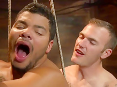 Gay Porn ( New Venyveras ) Compilation scene 3