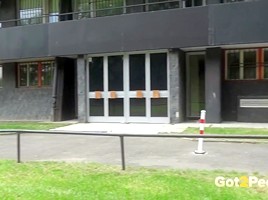 Got2### - ###ing In Public Compilation 006