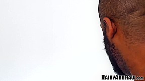 HAIRYANDRAW Hung Black Stud Emmet Frost Destroys Submissive