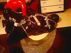 HOGCHAINED WHIPPED (1a)