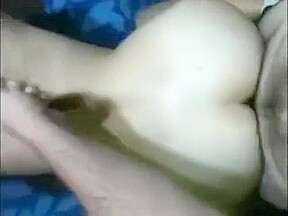 Hard levrette