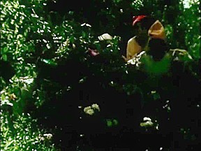 Historias Que Nossas Babas (1979, Brazil Pornochanchada, Hd)