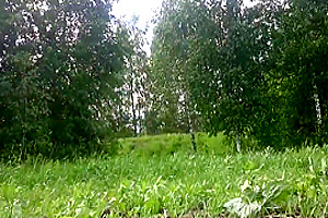 Horny homemade shemale scene with Amateur, Outdoor scenes