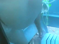 Hot Changing Room, , Beach Scene Uncut